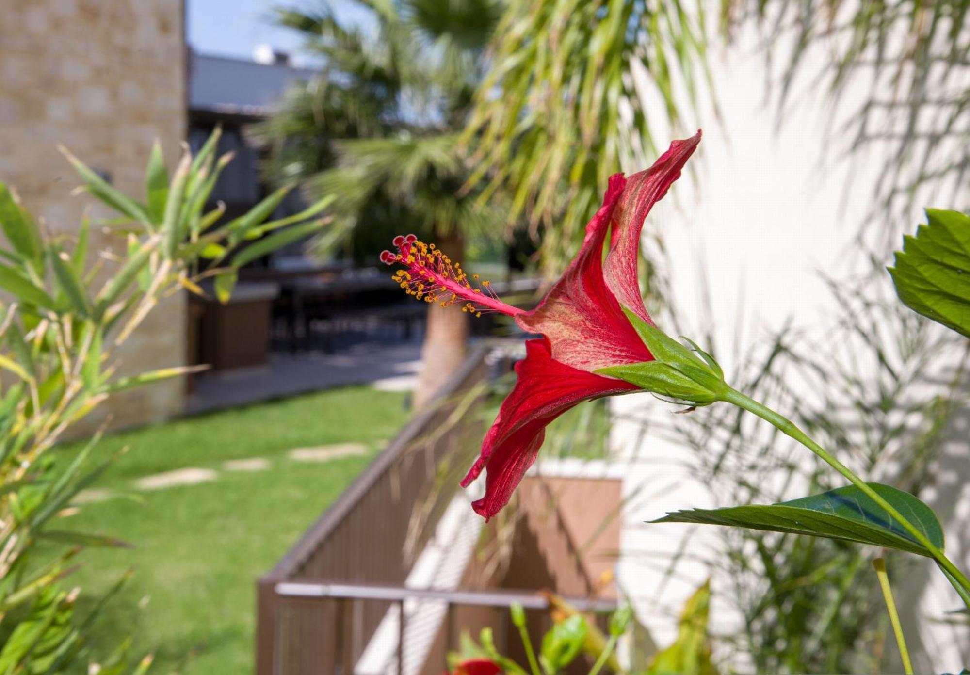 Almi-Cove Hilltop Villas Almirida Exteriér fotografie
